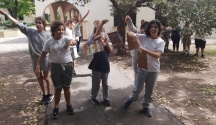 Mariposas en el viento