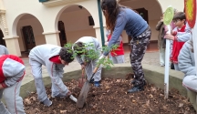Día del Árbol